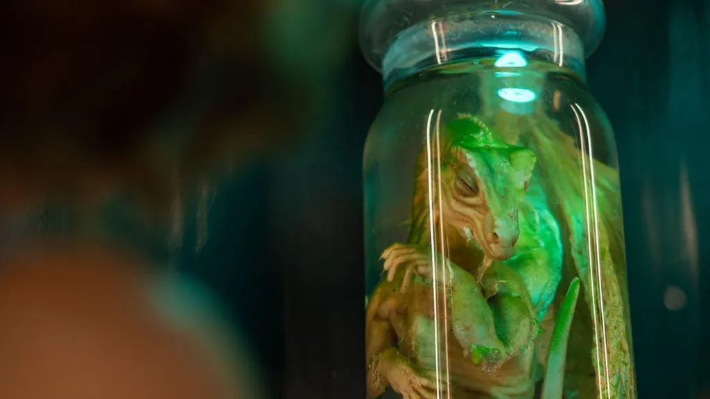 Pickled Dragon Hoax, Dragon in a Jar