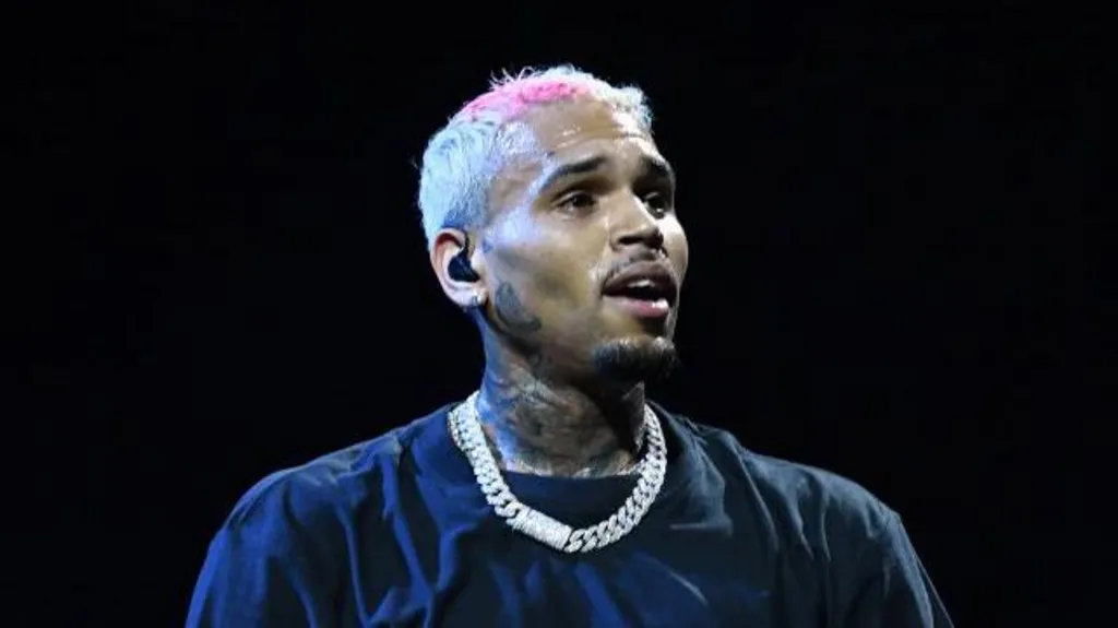 Chris Brown concert violence concerns