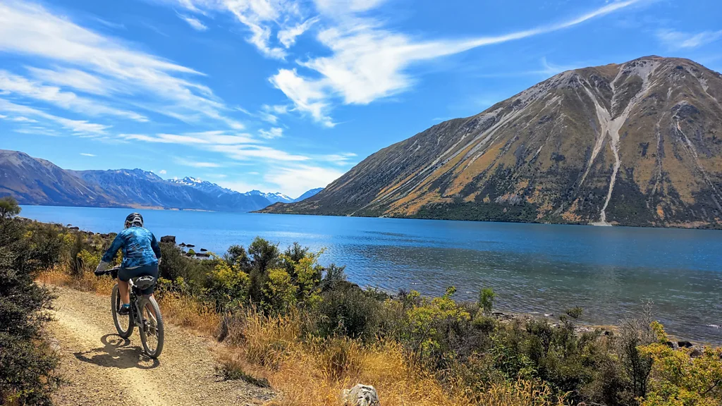 New Zealand Ancient Megafauna