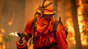 California inmate firefighters combating wildfires as part of the CDCR program, showcasing the frontline efforts in Palisades wildfire containment.