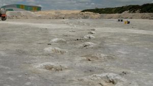 UK’s largest dinosaur footprint site discovered in Oxfordshire.