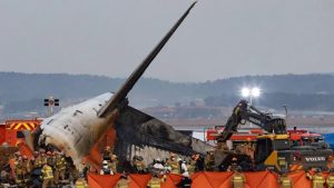 South Korea Airport Bird Detection